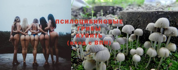 кокаин колумбия Алексин