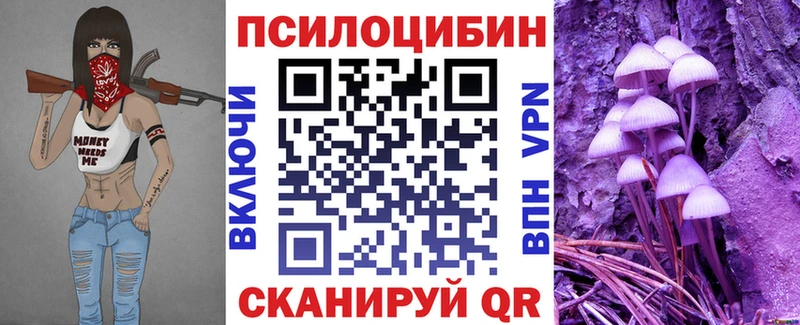 Псилоцибиновые грибы мицелий Донской