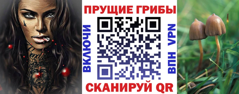 купить  цена  Донской  Галлюциногенные грибы Psilocybe 