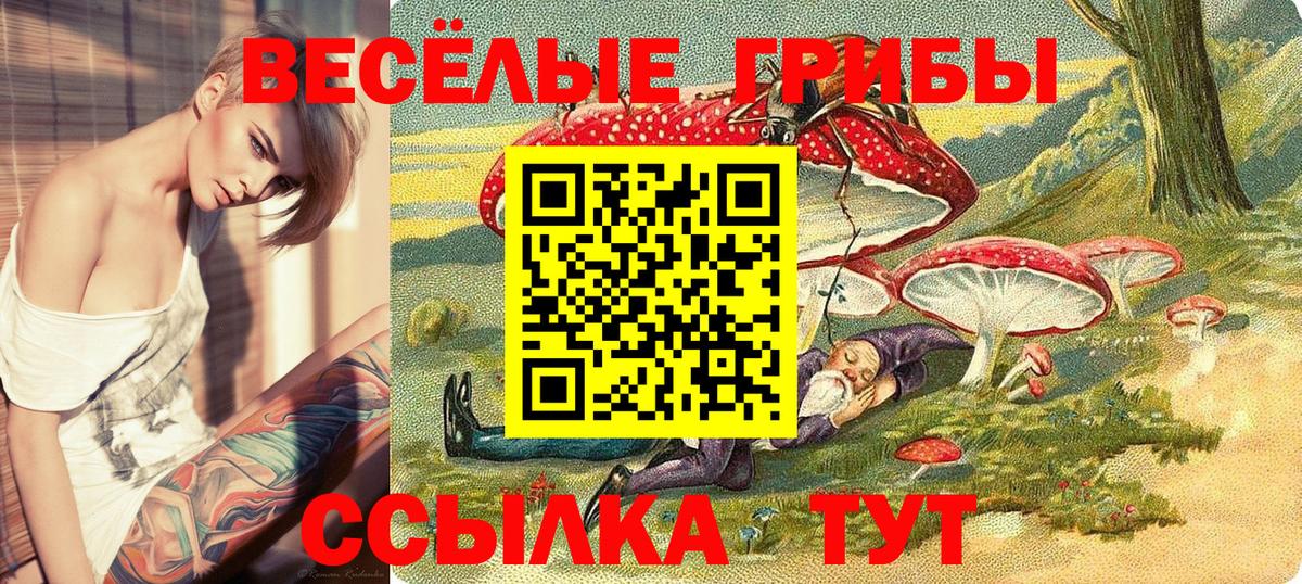 Галлюциногенные грибы прущие грибы Донской