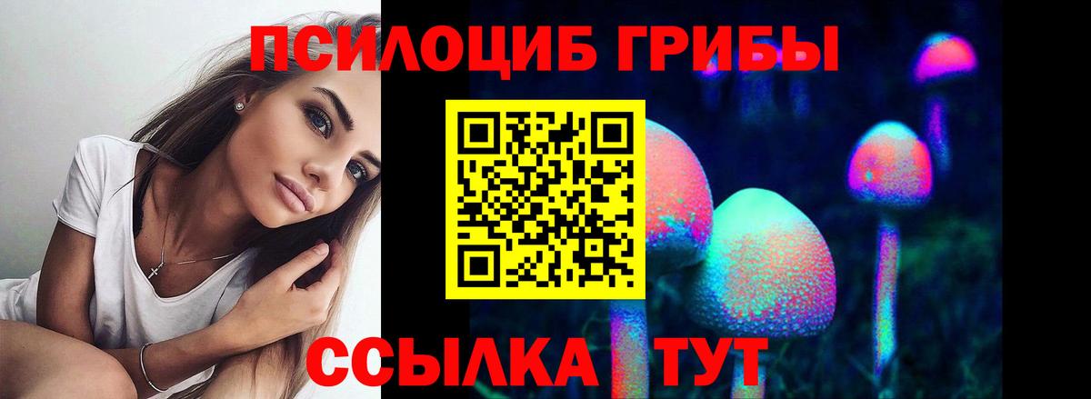 купить наркоту  Вход с VPN  Донской  Псилоцибиновые грибы ЛСД 